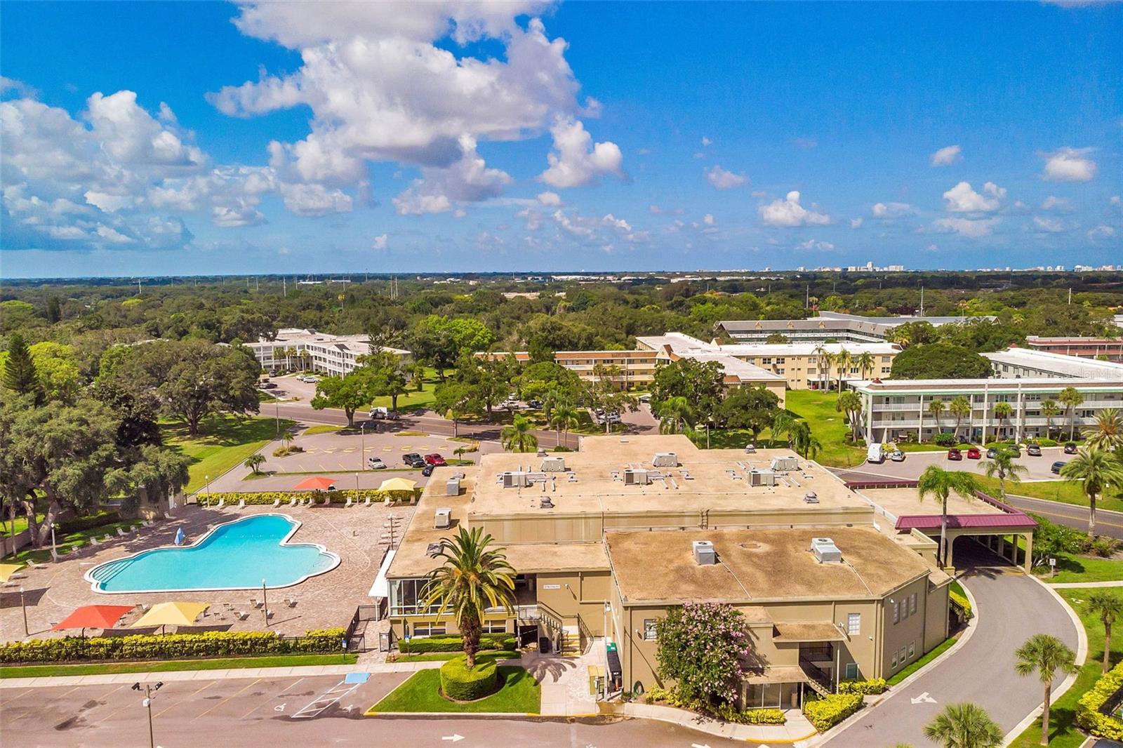 2386 SUMATRAN WAY #14, CLEARWATER, FL — photo 34