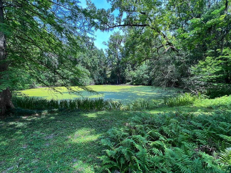 411 NW 26TH ST, GAINESVILLE, FL — photo 34