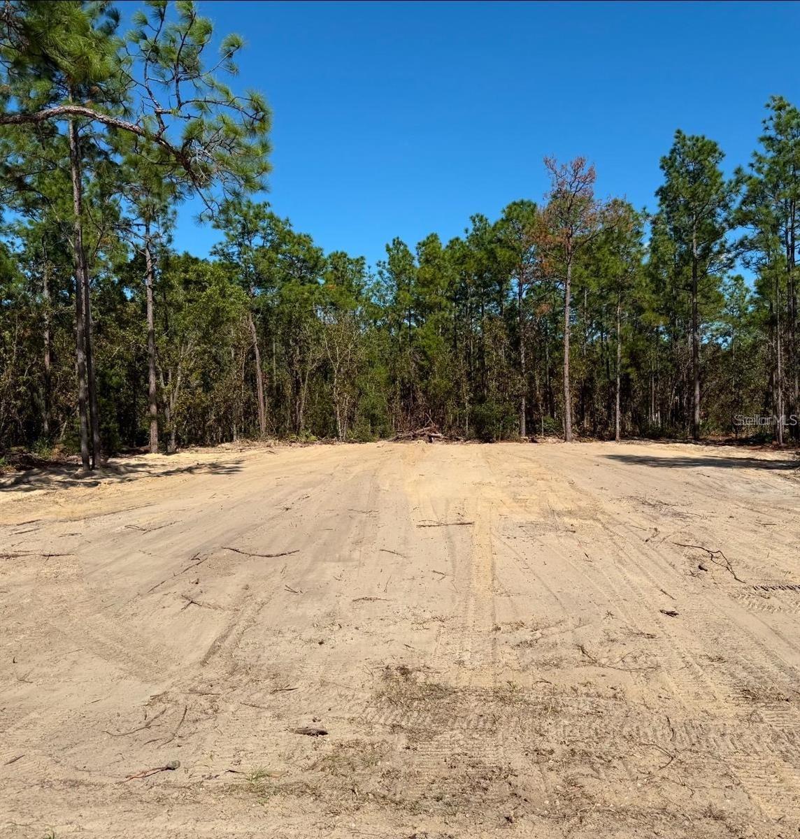 13831 SW 89TH CIR, OCALA, FL