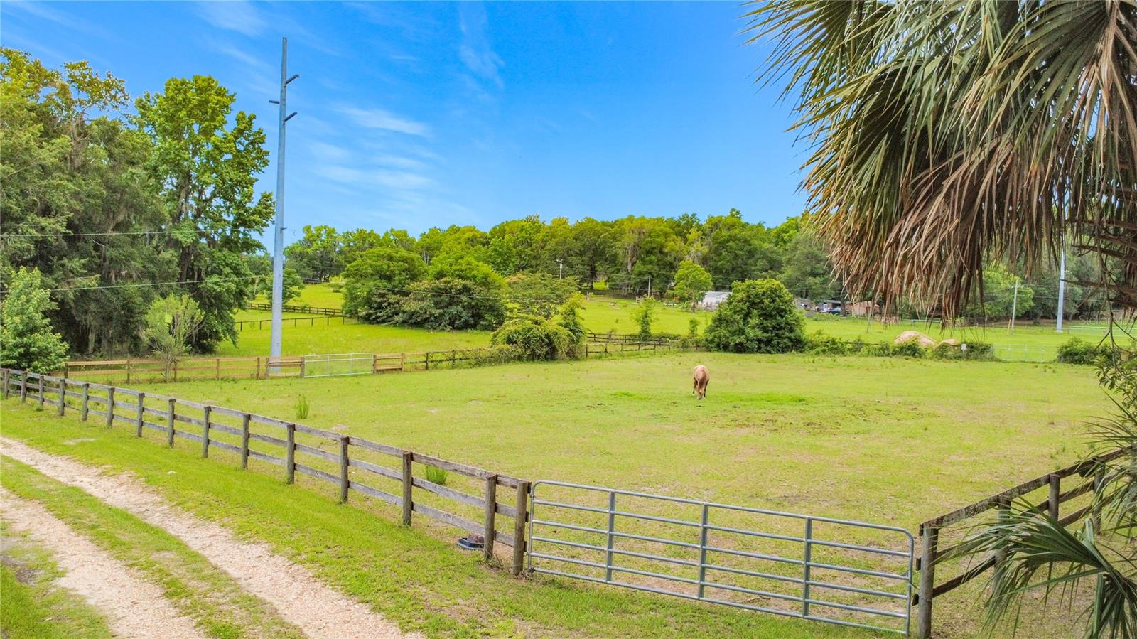 1919 NW 100TH ST, OCALA, FL — photo 37
