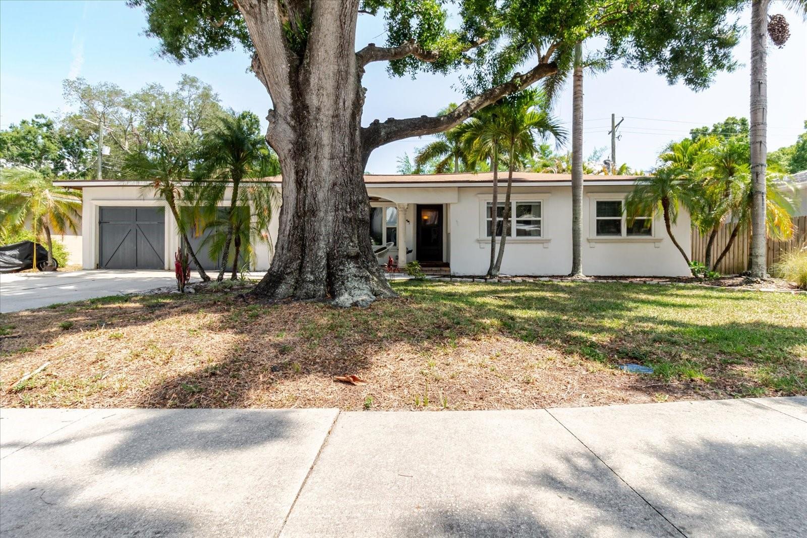 3138 W EUCLID AVE, TAMPA, FL — photo 10
