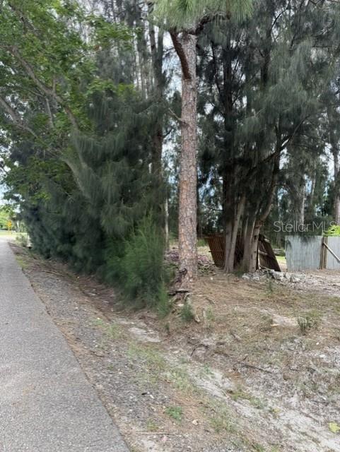 3275 LAUREL AVE #A, CLEARWATER, FL — photo 2
