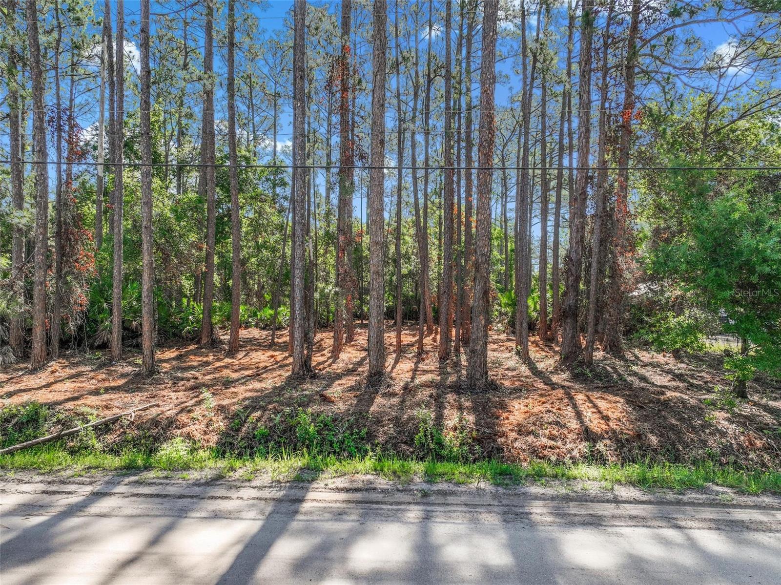 2679 FOREST PARK ST, BUNNELL, FL