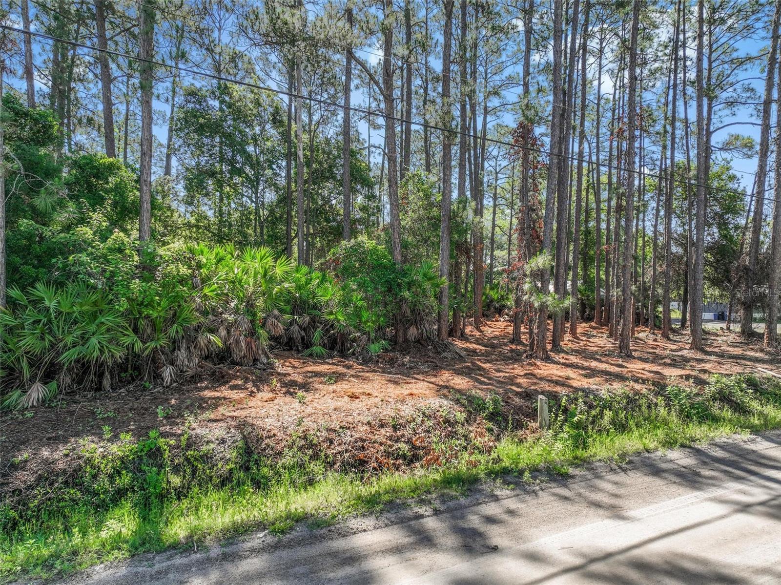 2679 FOREST PARK ST, BUNNELL, FL — photo 3