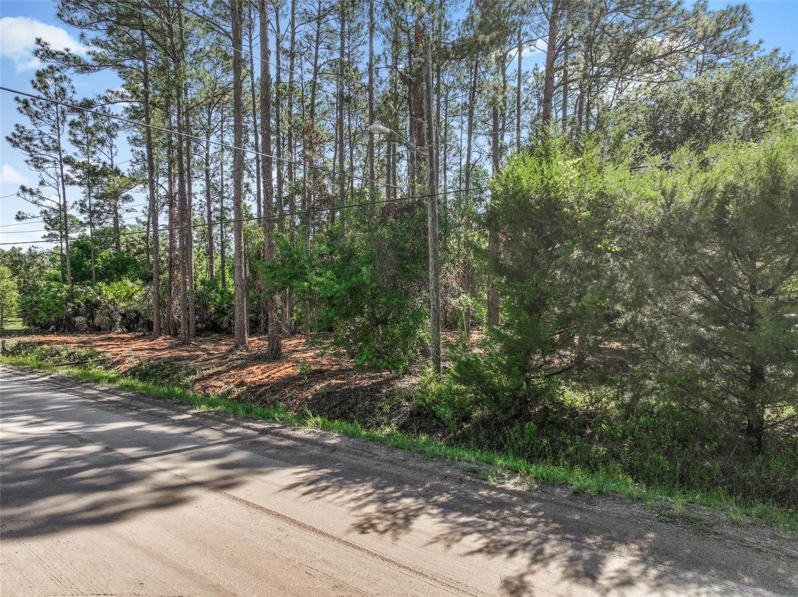 2679 FOREST PARK ST, BUNNELL, FL — photo 4
