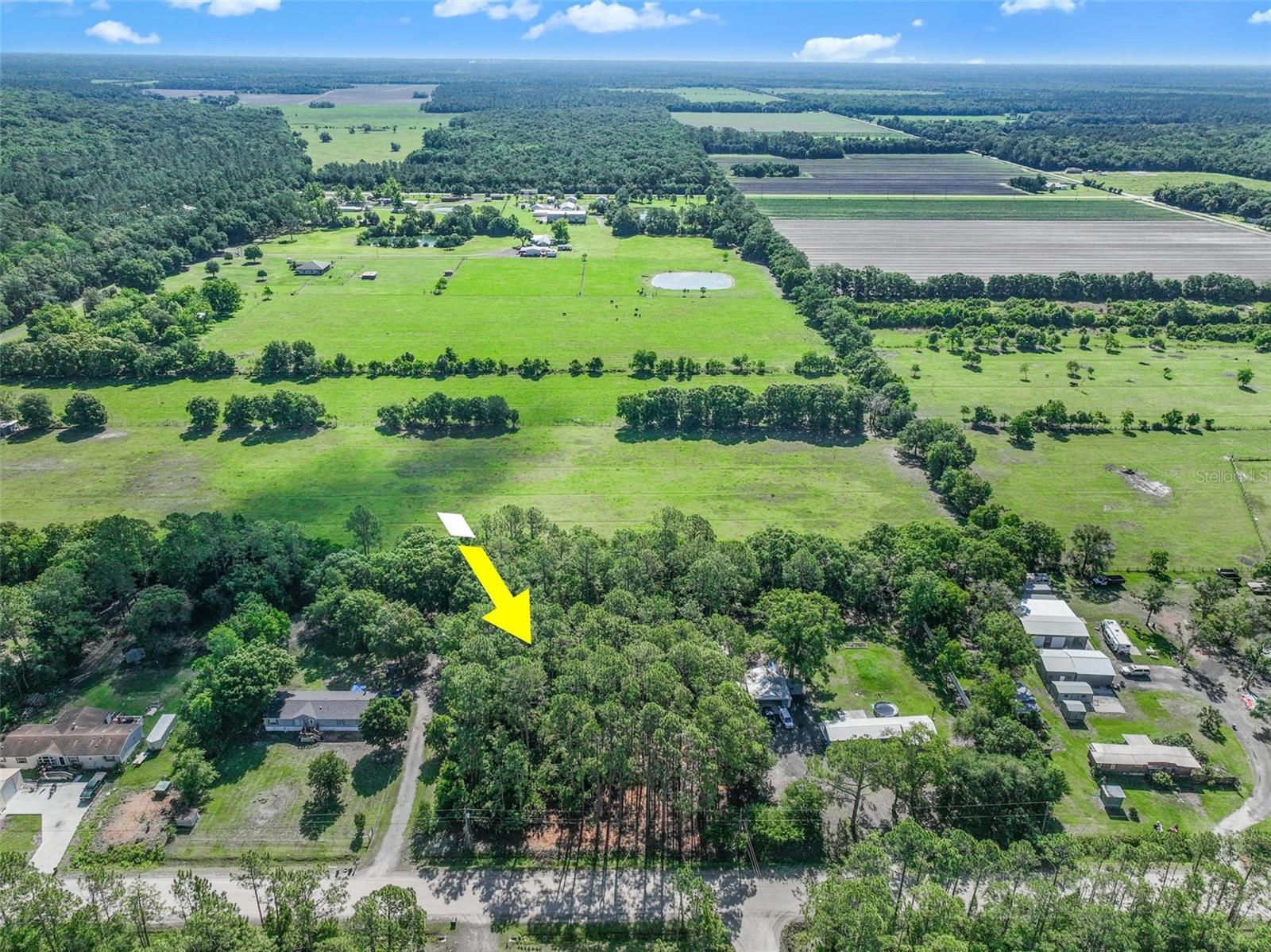 2679 FOREST PARK ST, BUNNELL, FL — photo 5