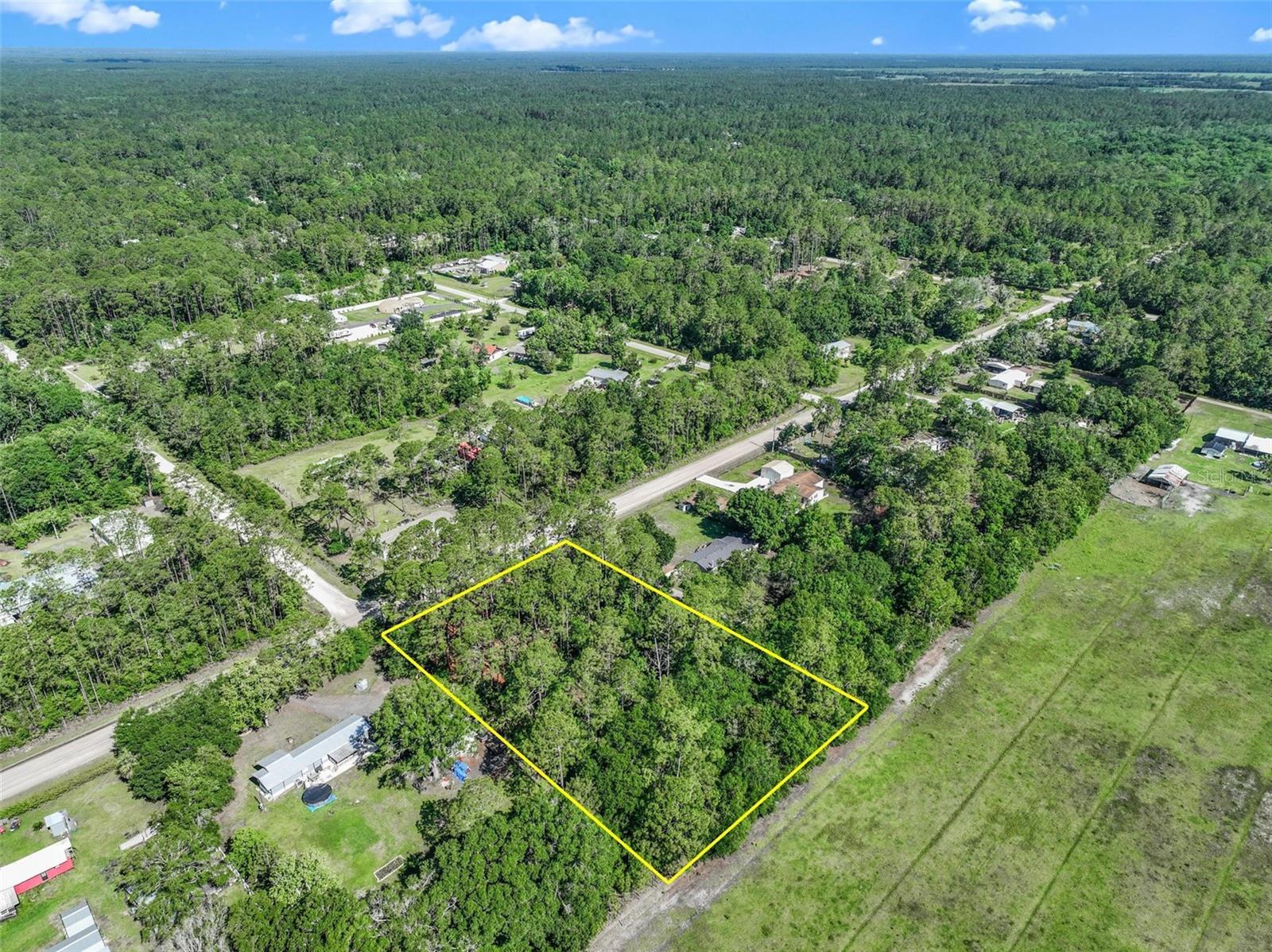 2679 FOREST PARK ST, BUNNELL, FL — photo 6