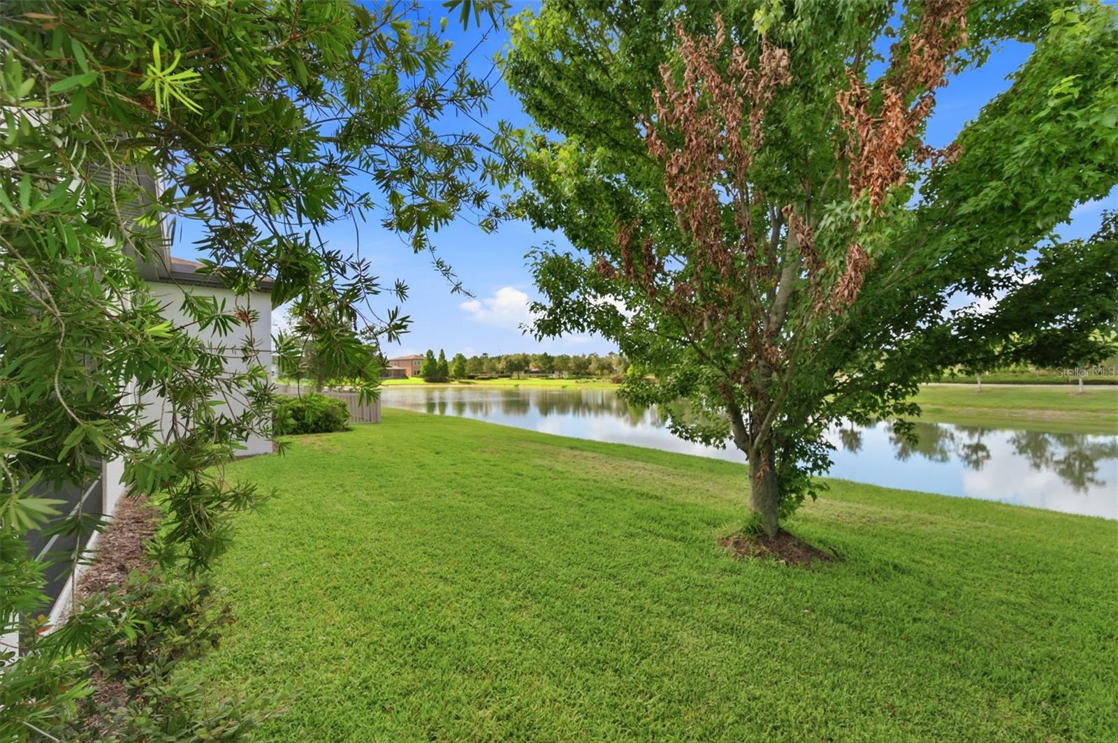 28930 REVARO LN, WESLEY CHAPEL, FL — photo 39