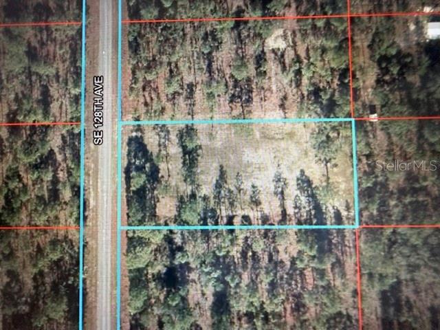 0 SE 128TH AVE, DUNNELLON, FL — photo 2