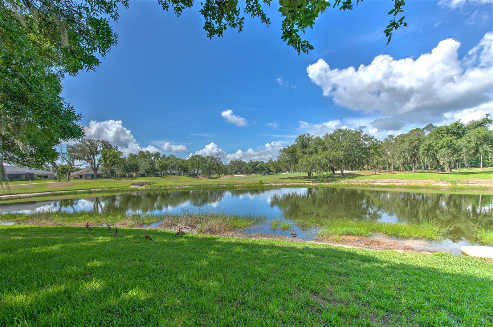 5103 BROKEN SOUND LN, VALRICO, FL — photo 34