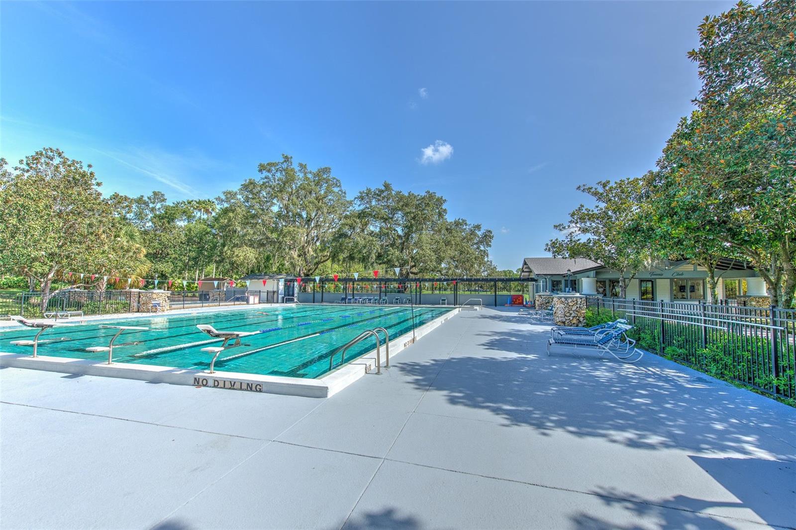 5103 BROKEN SOUND LN, VALRICO, FL — photo 100