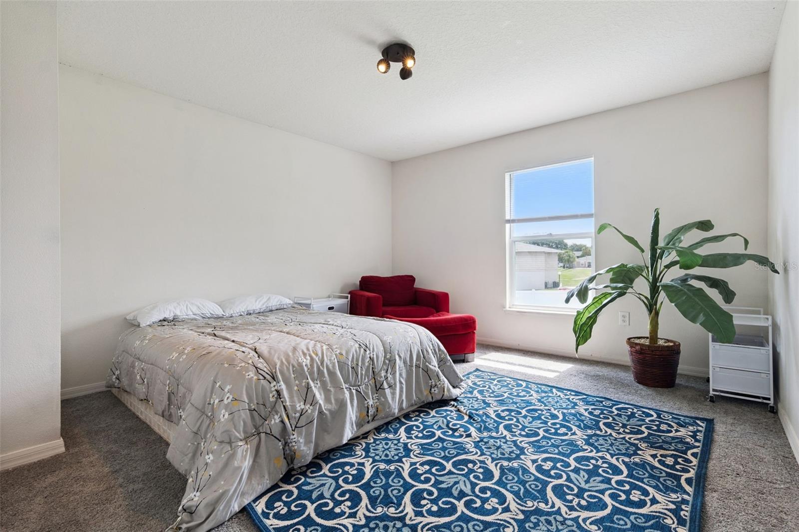 181 ZACHARY WADE ST, WINTER GARDEN, FL — photo 30