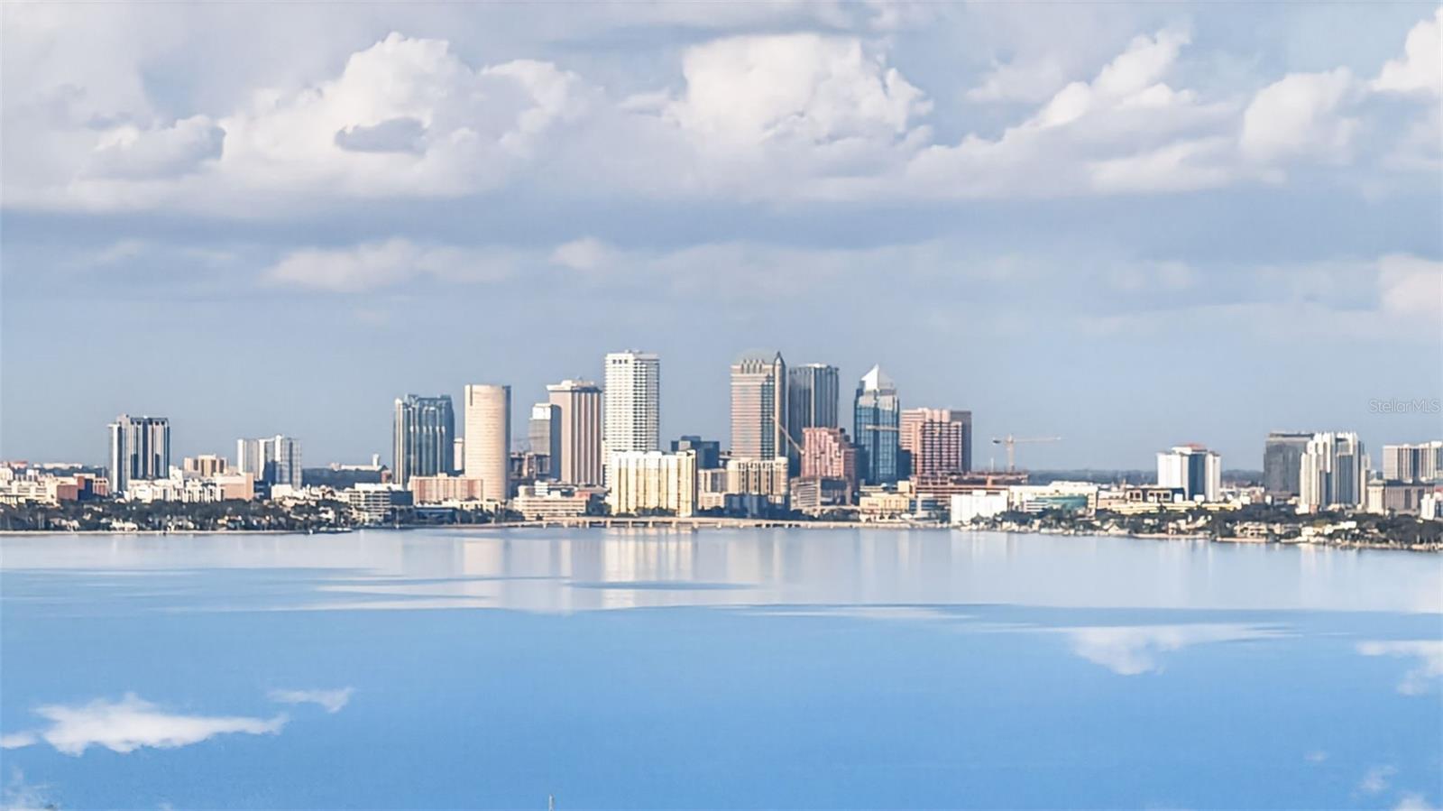 5601 BAYSHORE BLVD #F, TAMPA, FL — photo 59