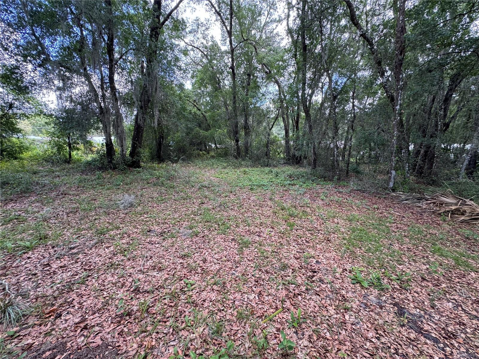 308 S BLUE LAKE AVE, DELAND, FL — photo 12