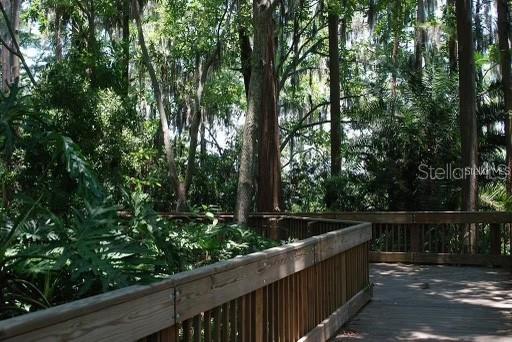 3256 BENTLEY DR, PALM HARBOR, FL — photo 46