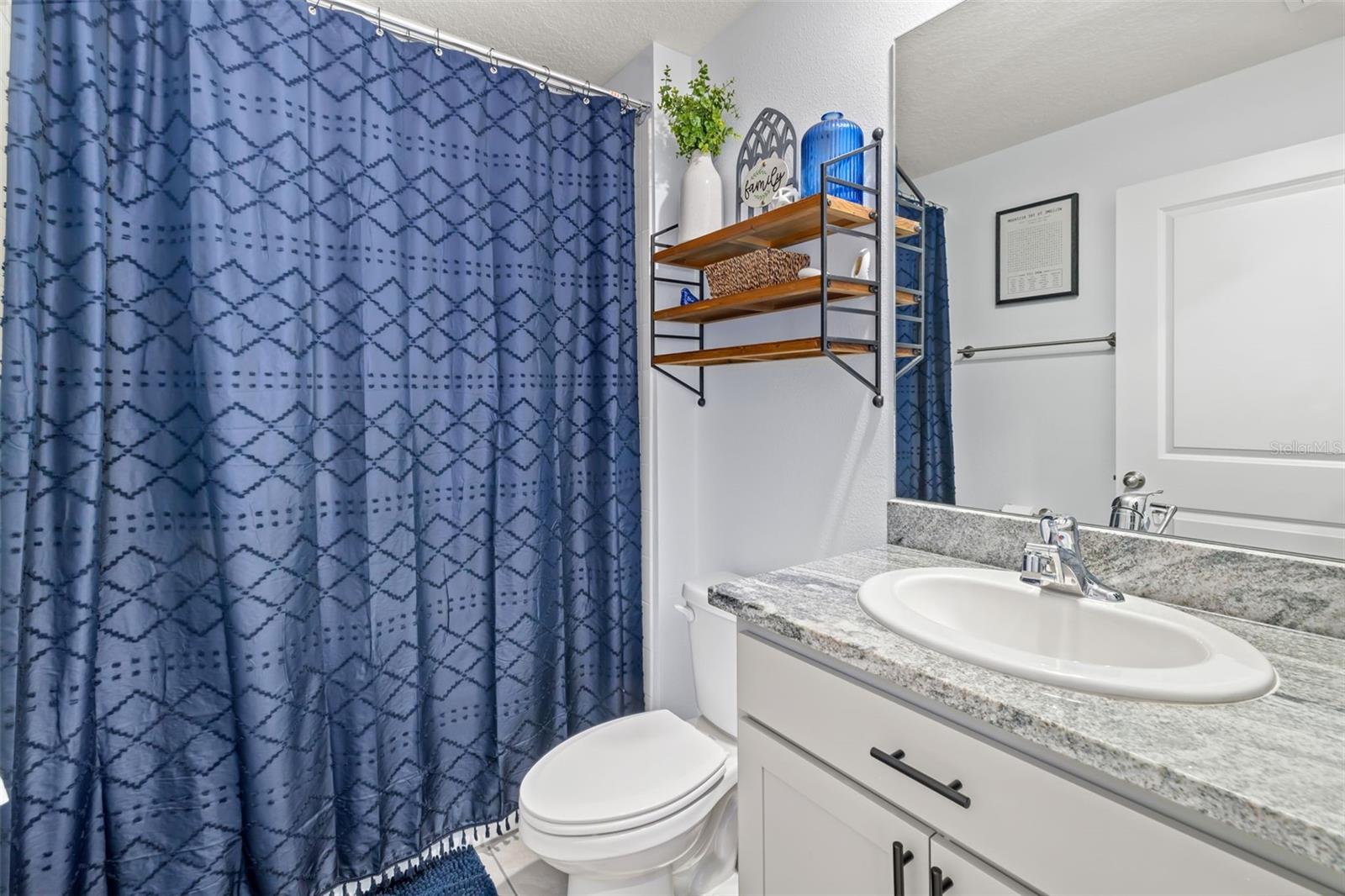 17315 WHEATBERRY BLVD, PARRISH, FL — photo 21