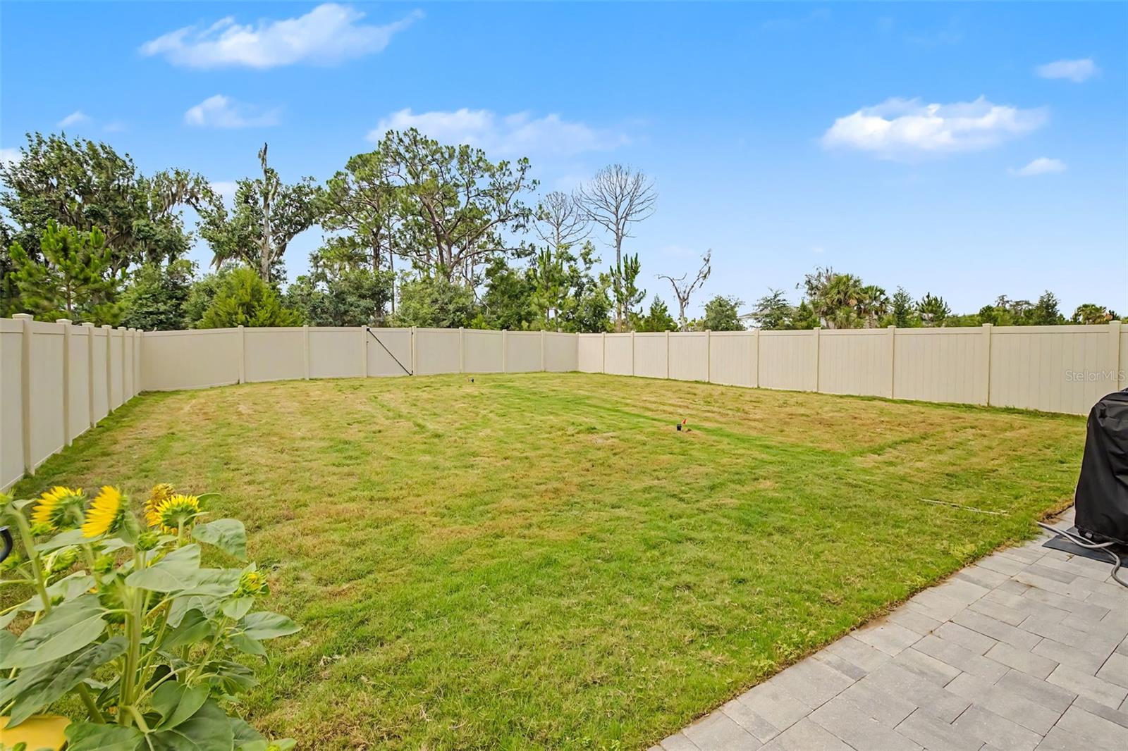 17315 WHEATBERRY BLVD, PARRISH, FL — photo 54