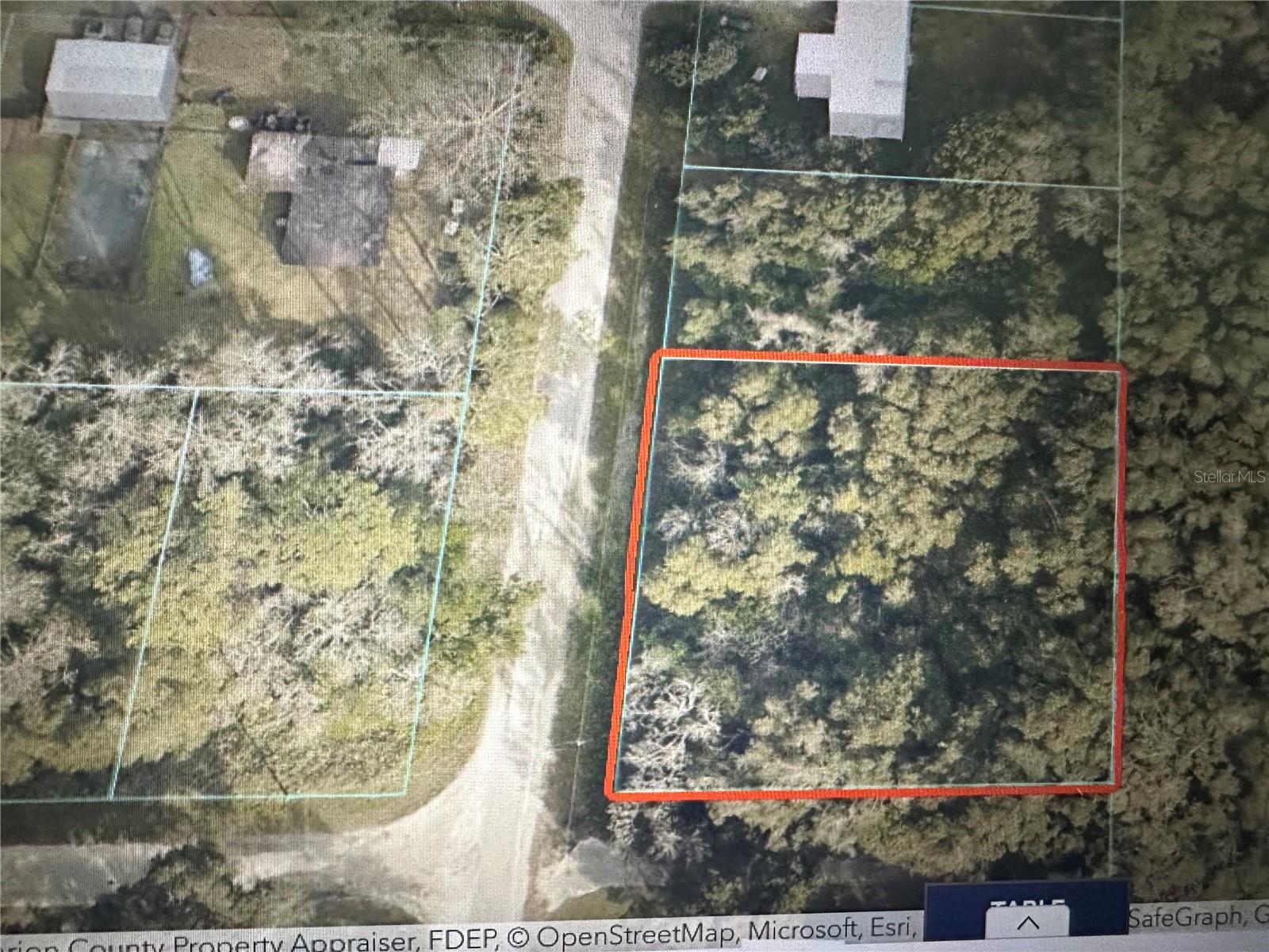 TBD SE 44TH AVE, SUMMERFIELD, FL — photo 2