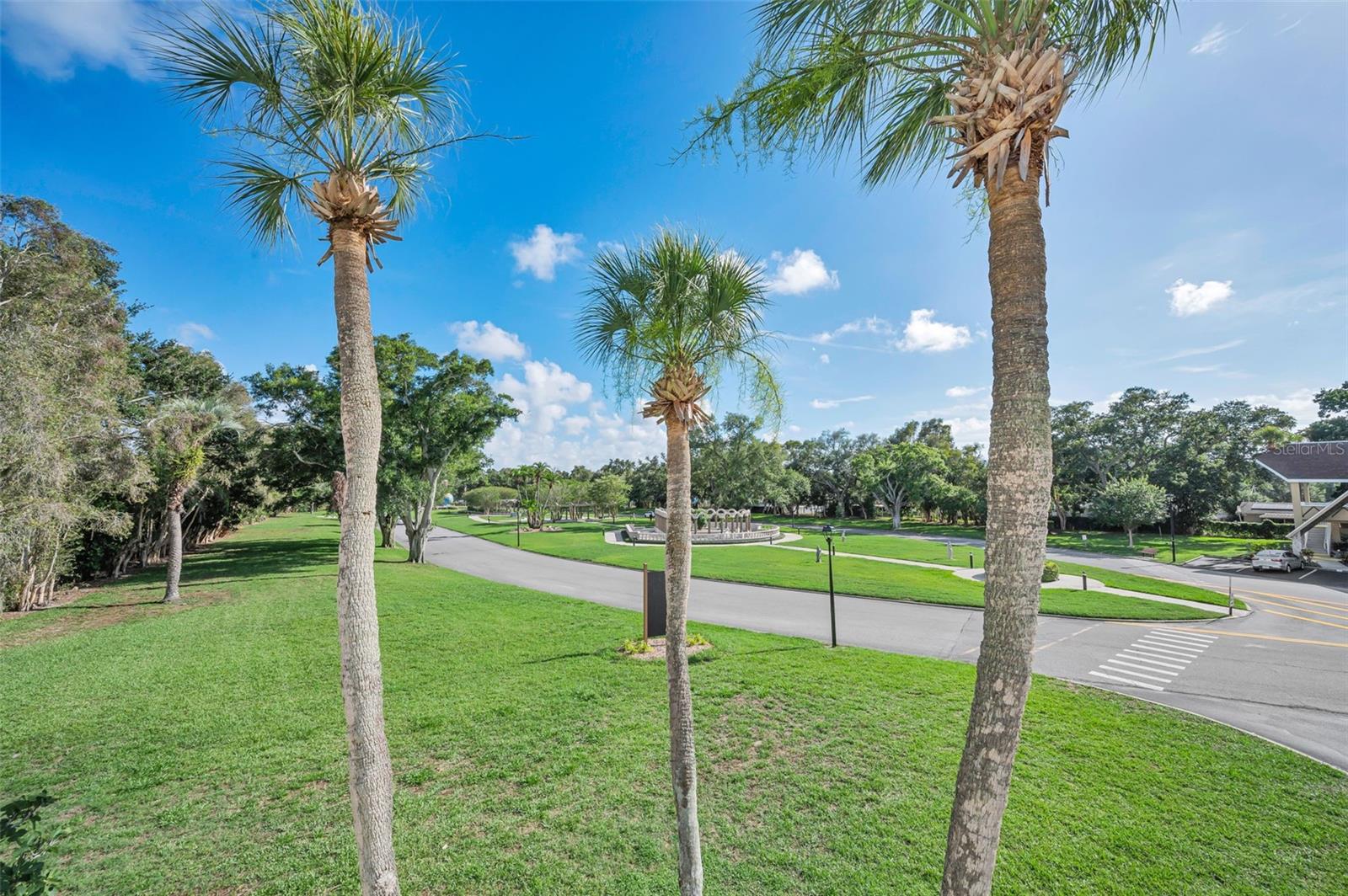 2001 WORLD PARKWAY BLVD #39, CLEARWATER, FL — photo 10