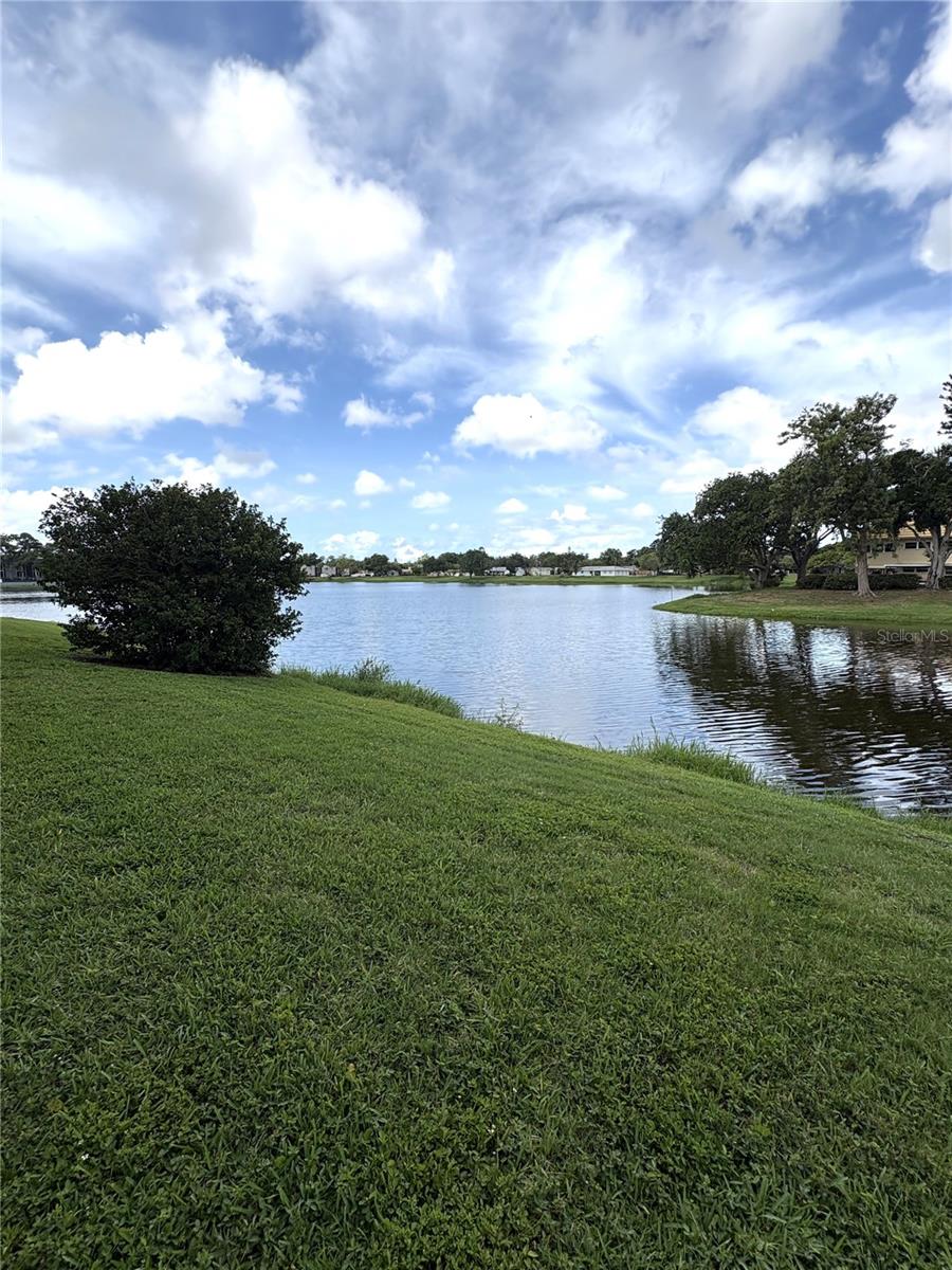 1200 37TH ST N #107, ST PETERSBURG, FL — photo 19