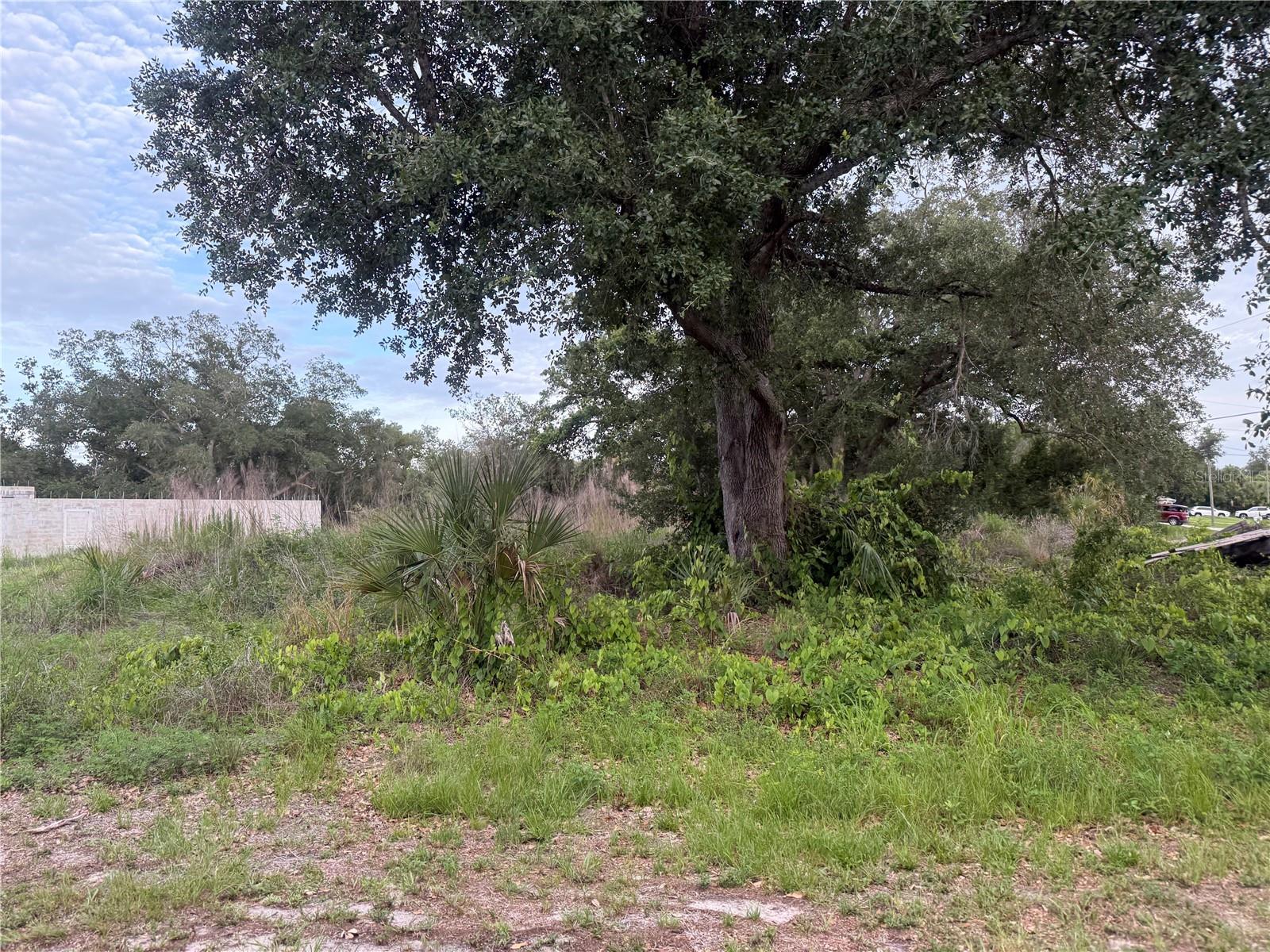 1808 CAPITOL ST, NORTH PORT, FL — photo 3