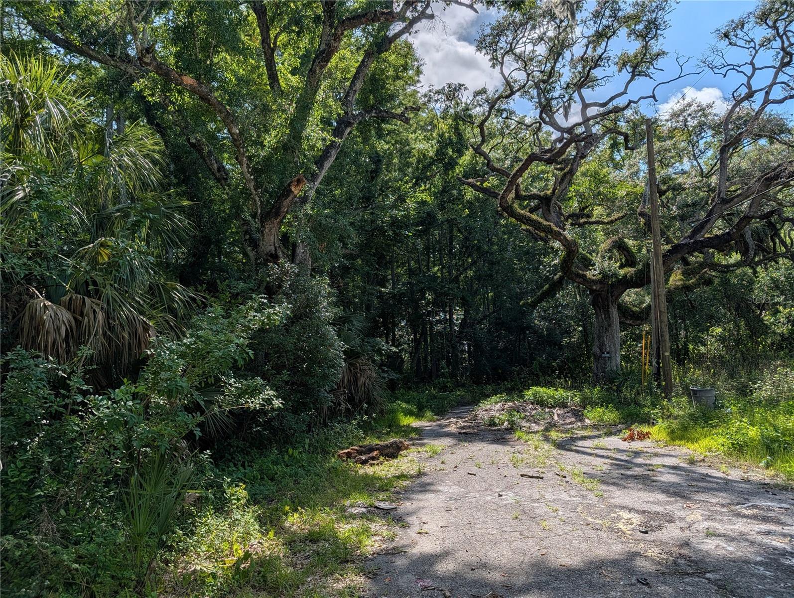 TBD KIOWA, NEW PORT RICHEY, FL — photo 2