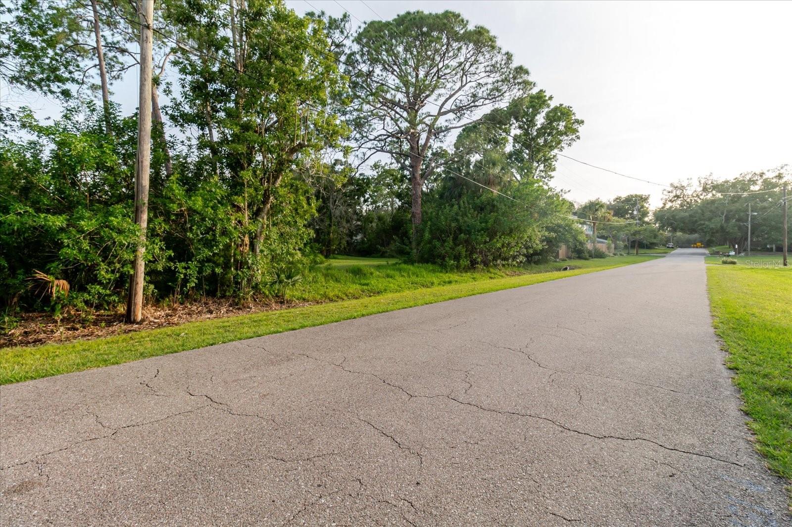 HIGHLAND AVE, TARPON SPRINGS, FL — photo 25