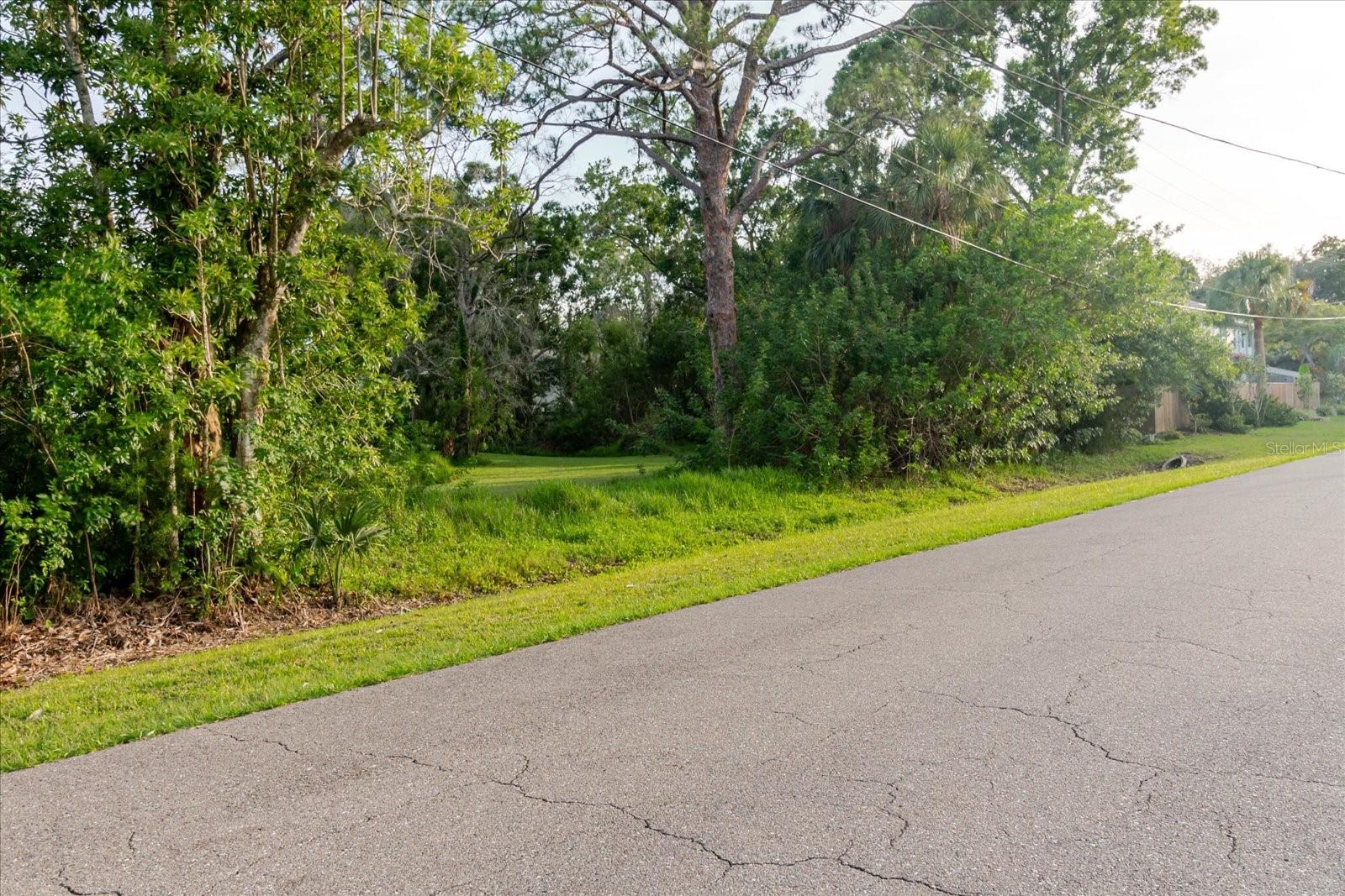 HIGHLAND AVE, TARPON SPRINGS, FL — photo 26