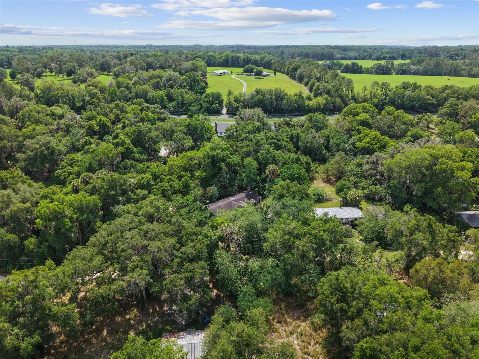 21390 NW 59TH AVE, MICANOPY, FL — photo 31