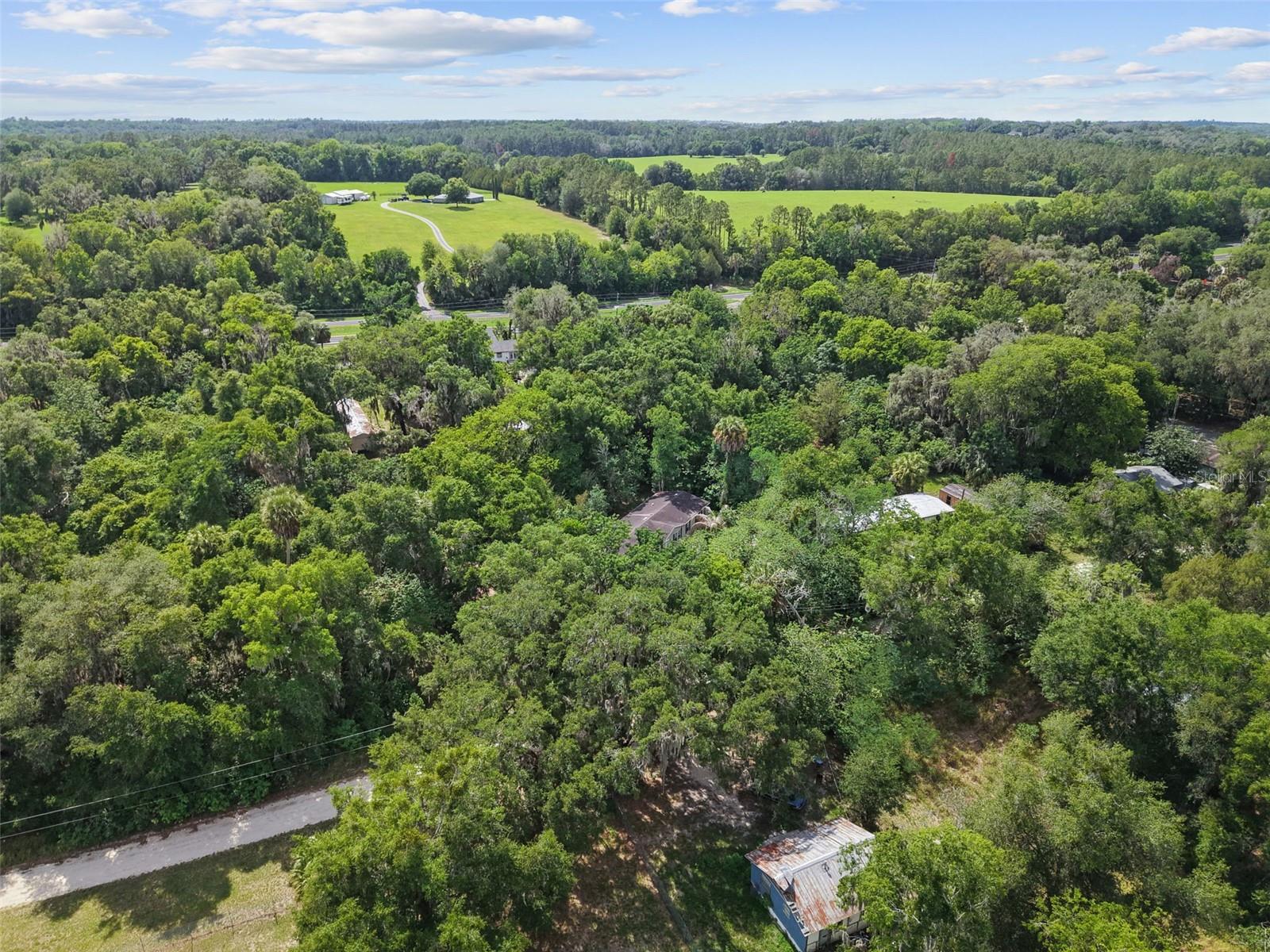 21390 NW 59TH AVE, MICANOPY, FL — photo 32