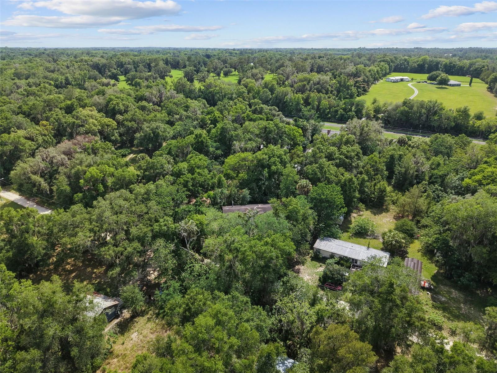 21390 NW 59TH AVE, MICANOPY, FL — photo 33