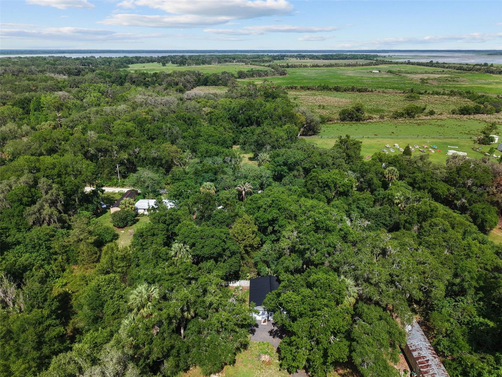 21390 NW 59TH AVE, MICANOPY, FL — photo 36