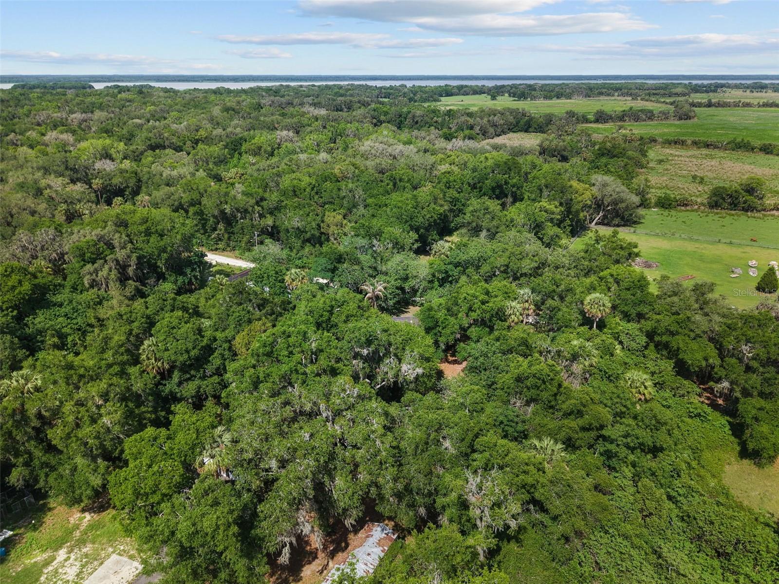 21390 NW 59TH AVE, MICANOPY, FL — photo 37
