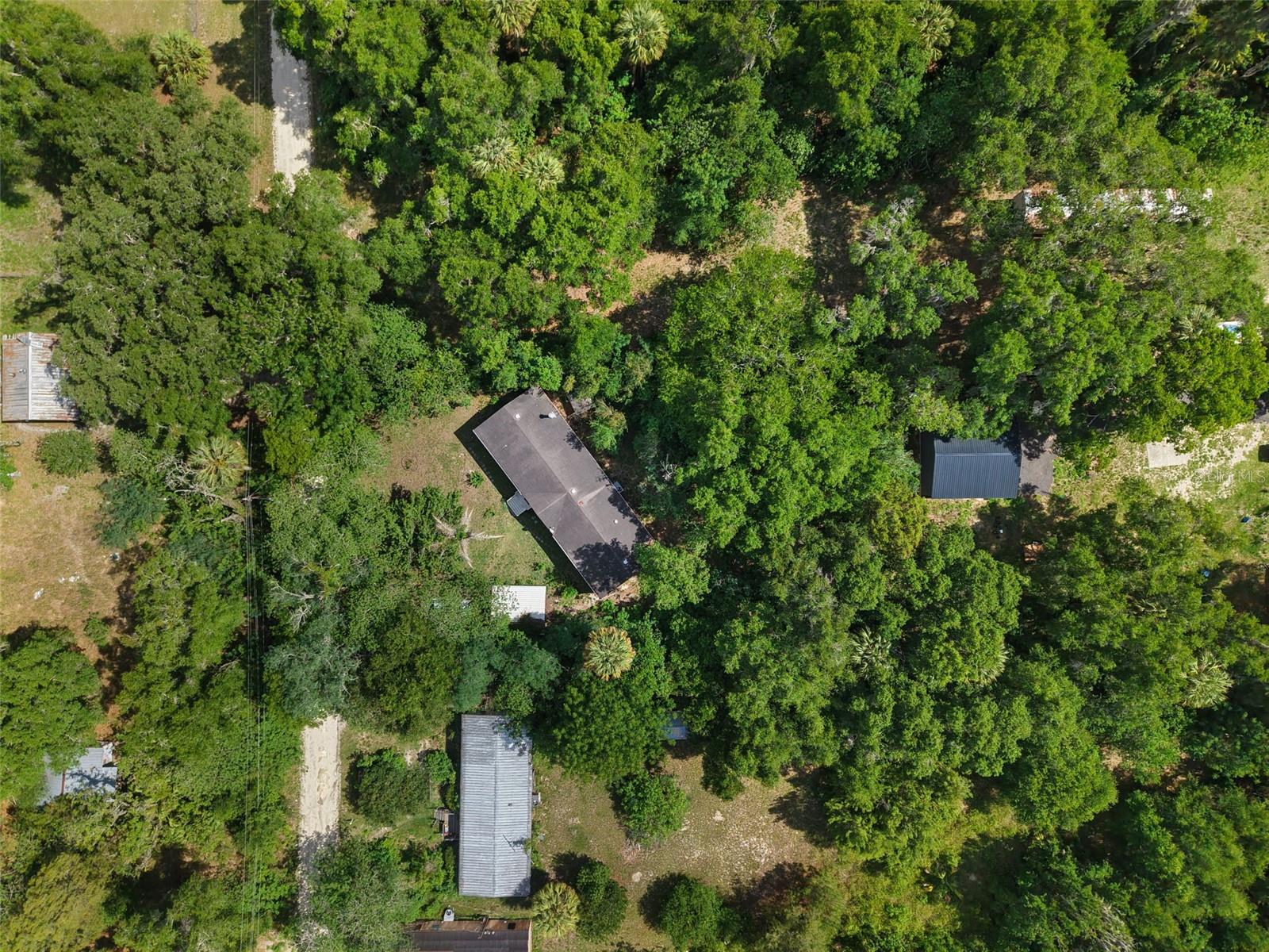 21390 NW 59TH AVE, MICANOPY, FL — photo 41