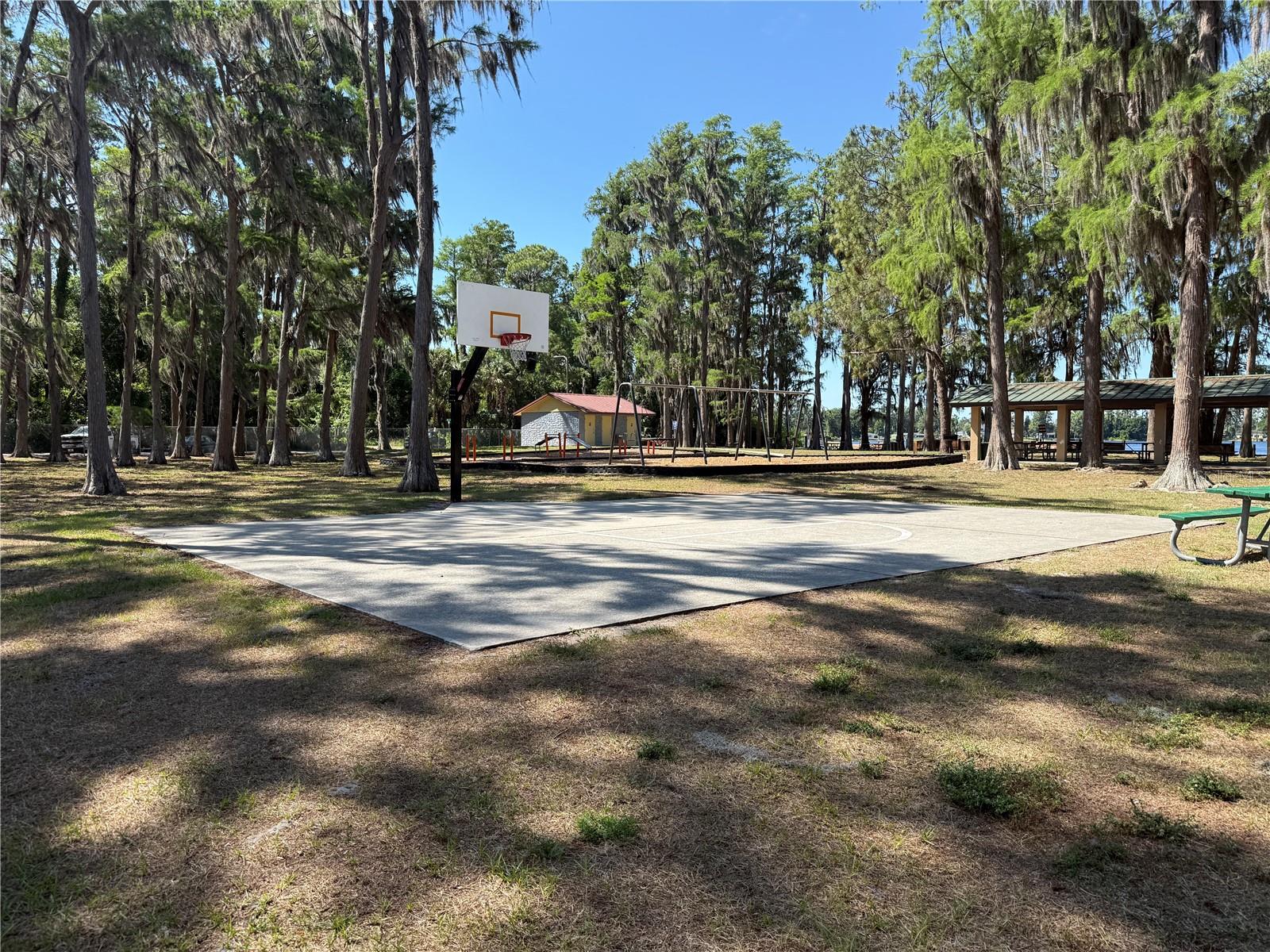 CODEL LOOP, NEW PORT RICHEY, FL — photo 5