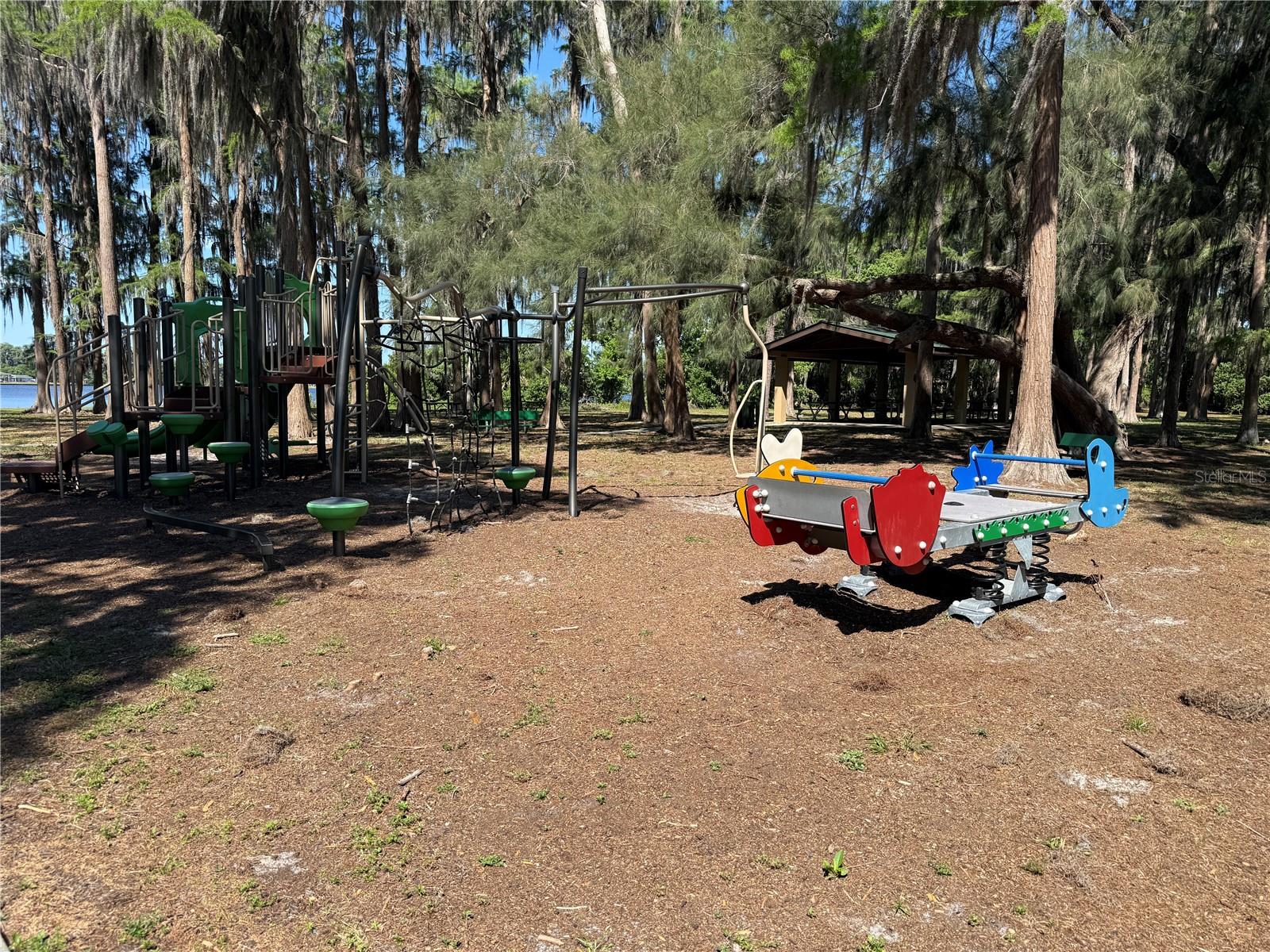 CODEL LOOP, NEW PORT RICHEY, FL — photo 6