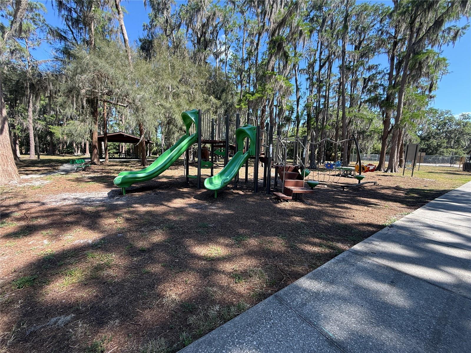 CODEL LOOP, NEW PORT RICHEY, FL — photo 7