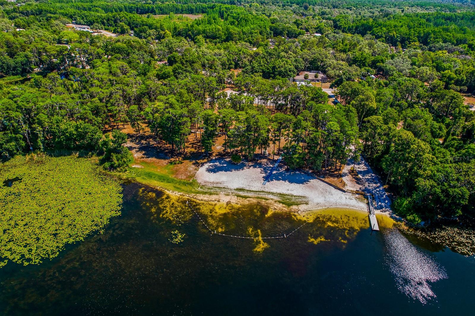 CODEL LOOP, NEW PORT RICHEY, FL — photo 9