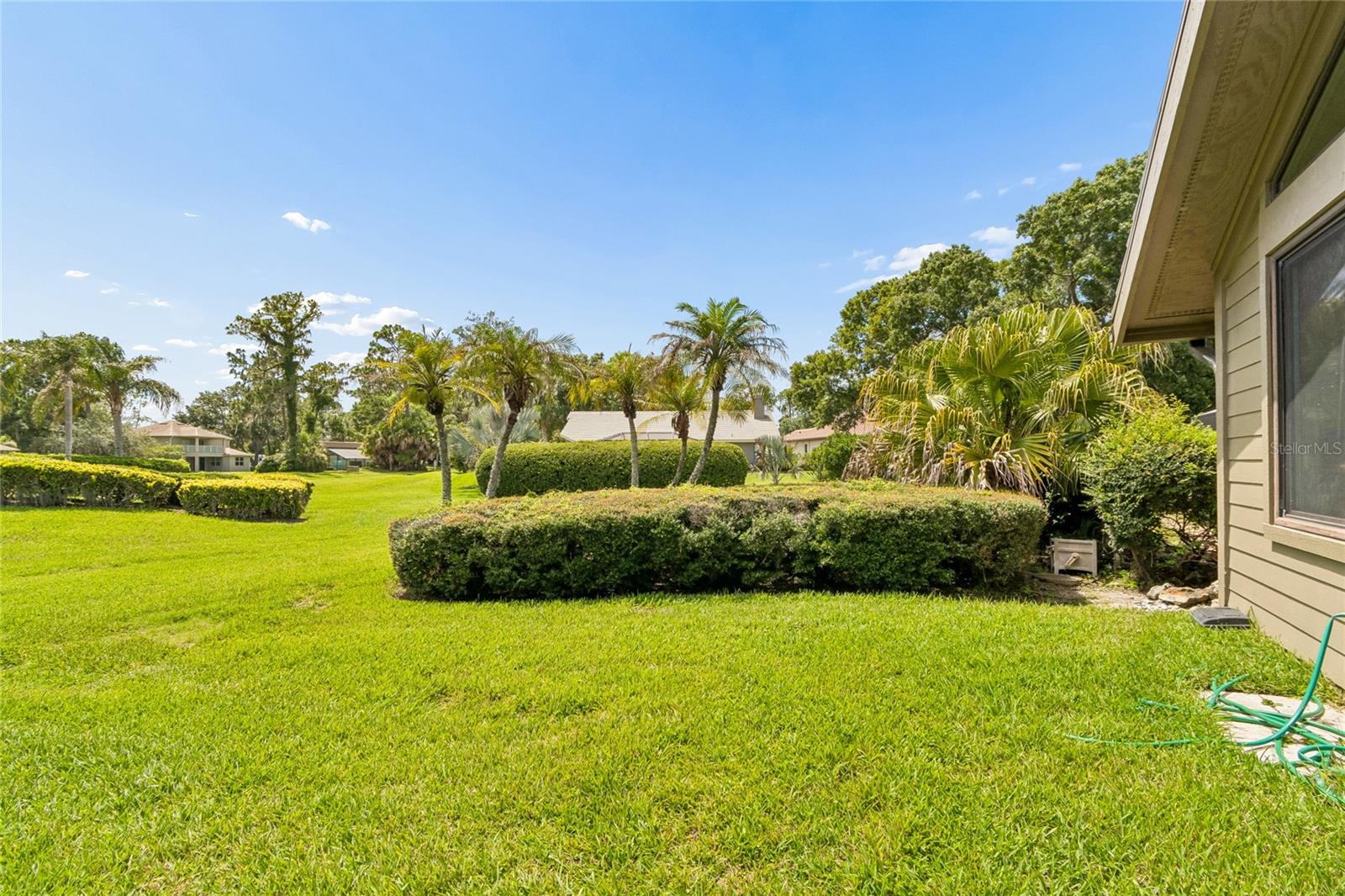 5335 SAND CRANE CT, WESLEY CHAPEL, FL — photo 51