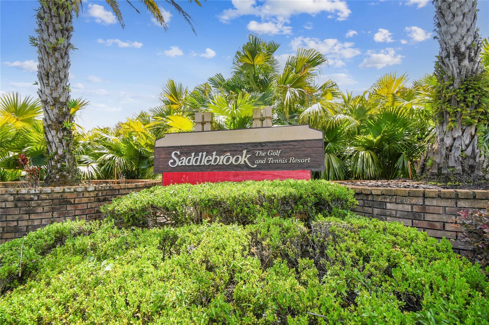 5335 SAND CRANE CT, WESLEY CHAPEL, FL — photo 55