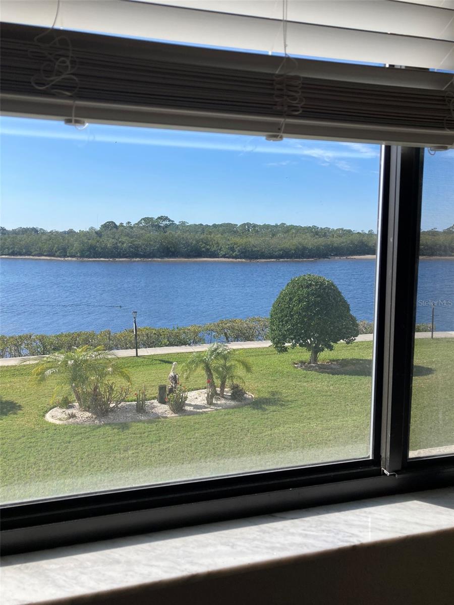 8150 BRENT ST #714, PORT RICHEY, FL — photo 10