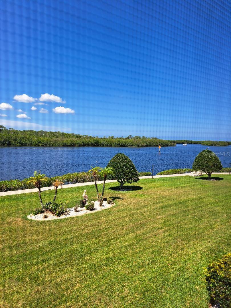 8150 BRENT ST #714, PORT RICHEY, FL — photo 21