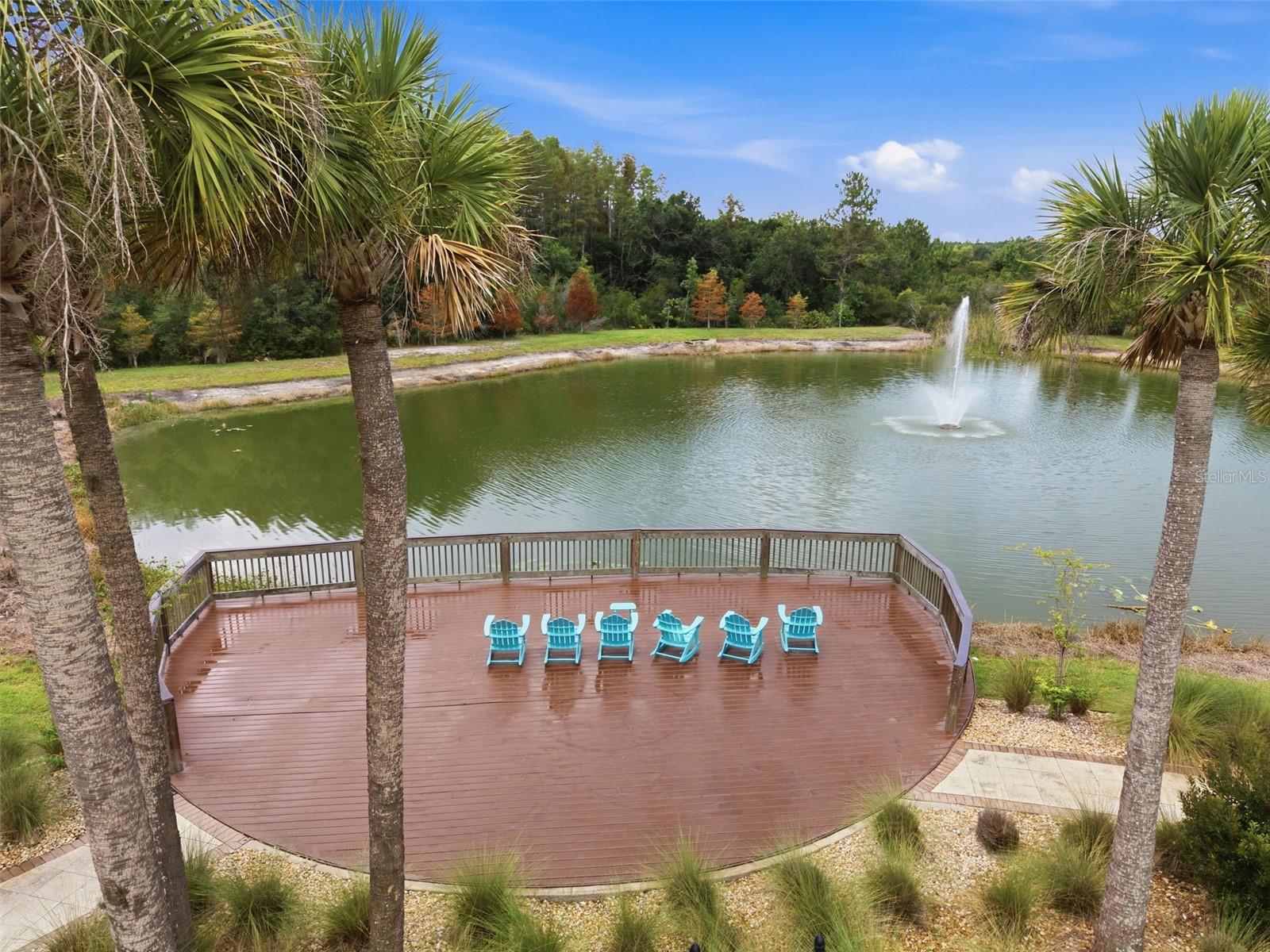 30040 SOUTHWELL LN, WESLEY CHAPEL, FL — photo 58