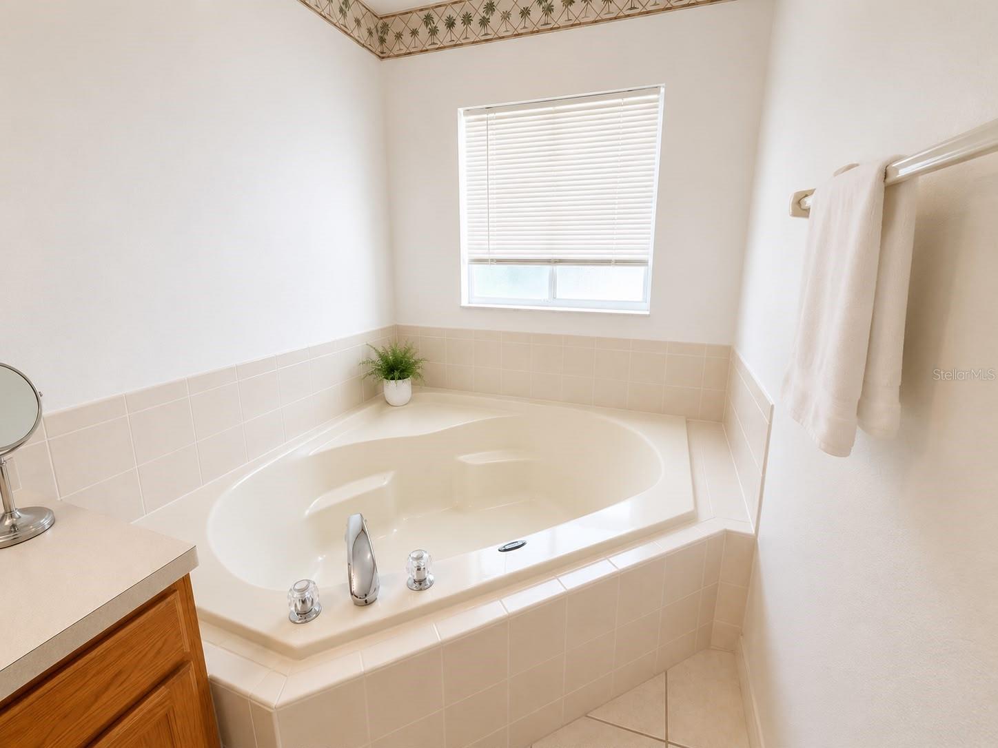 320 PARADISE WOODS PL, DAVENPORT, FL — photo 11
