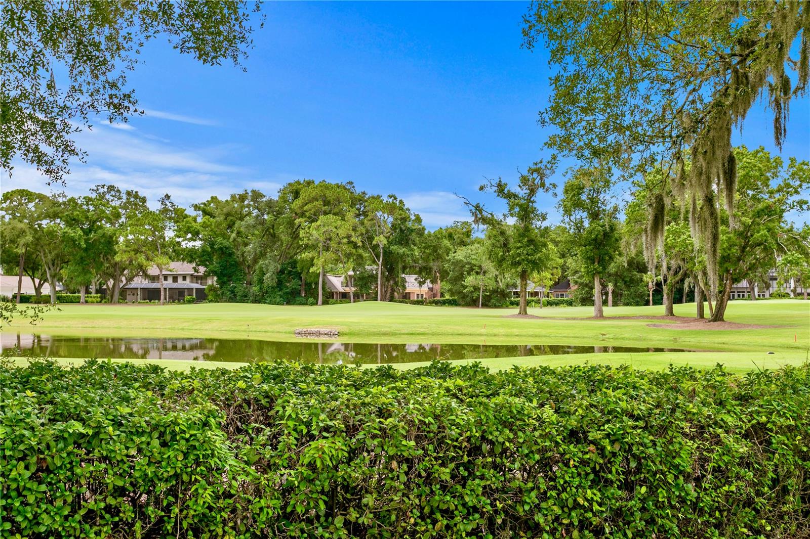16601 AVILA BLVD, TAMPA, FL — photo 43