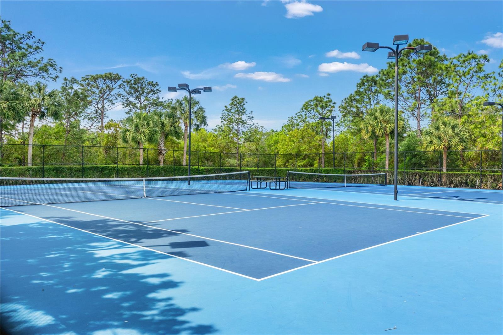 3763 AUTUMN AMBER DR, SPRING HILL, FL — photo 60