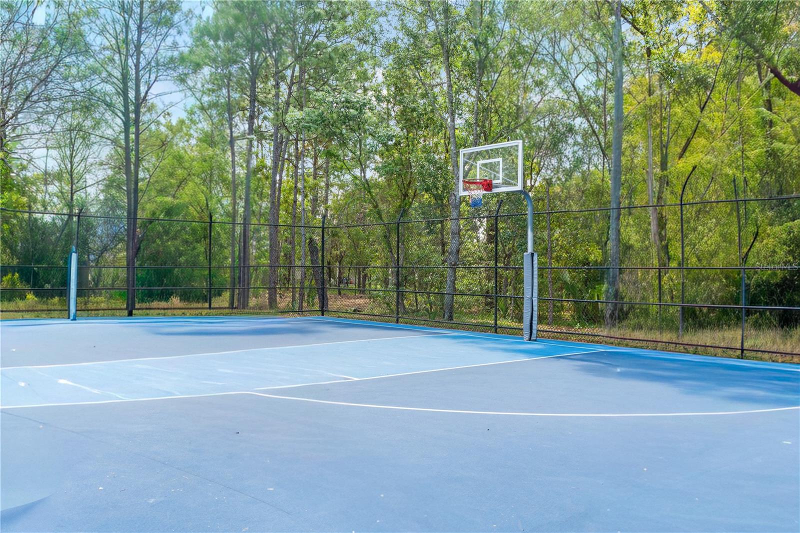 3763 AUTUMN AMBER DR, SPRING HILL, FL — photo 61