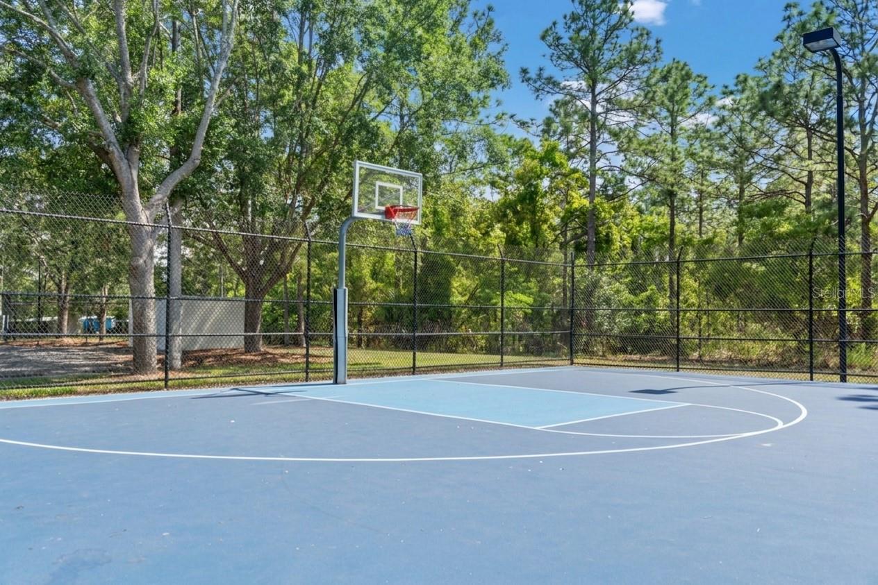 3763 AUTUMN AMBER DR, SPRING HILL, FL — photo 64