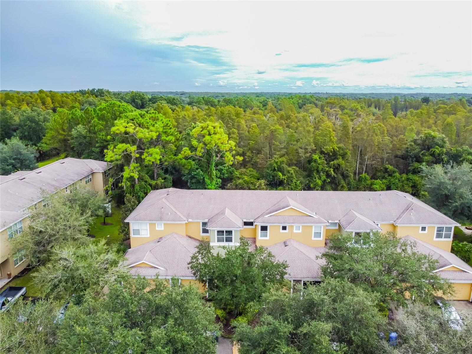 8116 STONE PATH WAY, TAMPA, FL — photo 4