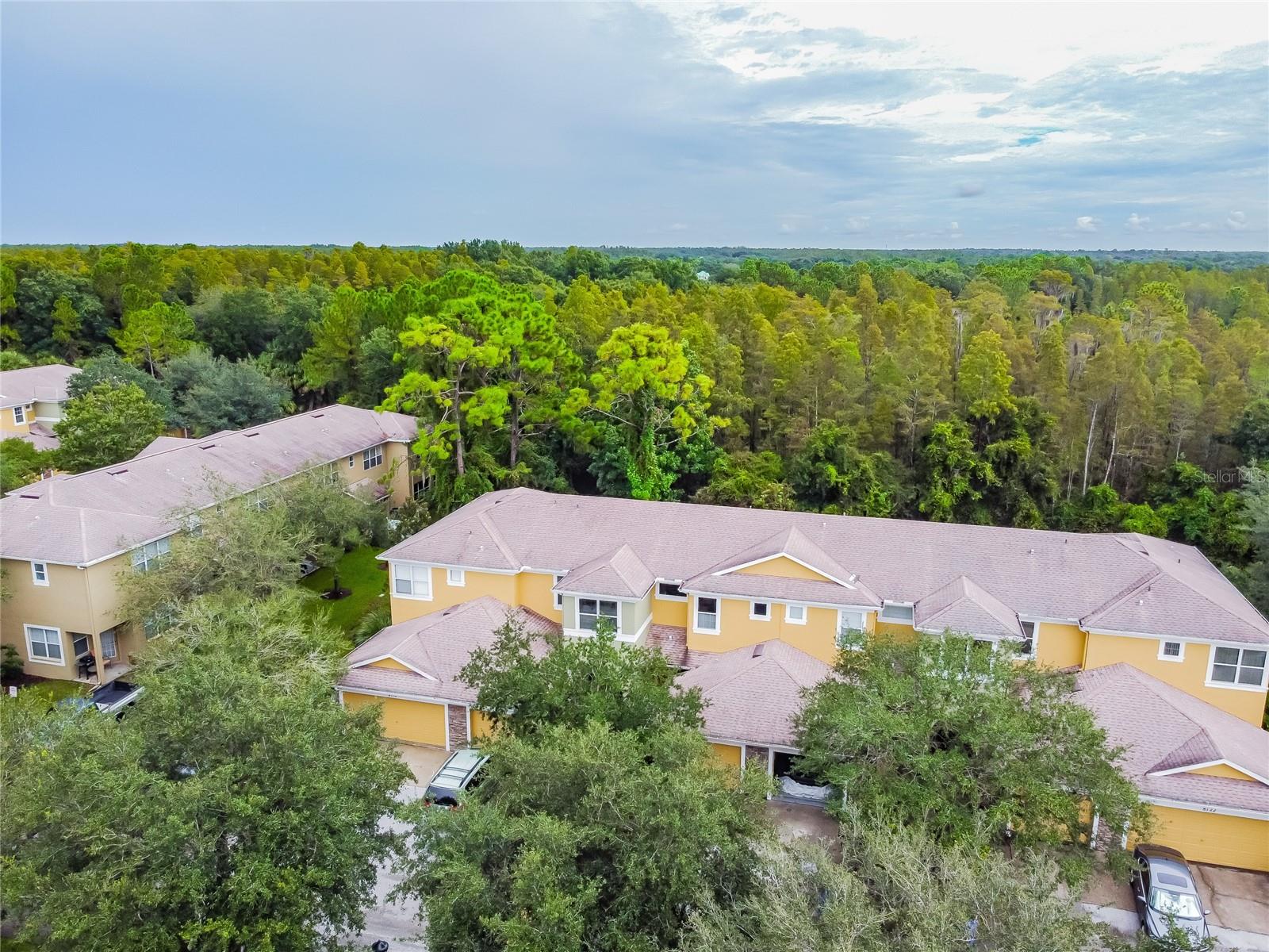 8116 STONE PATH WAY, TAMPA, FL — photo 5